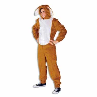 Hazen verkleedkleding volwassenen tip