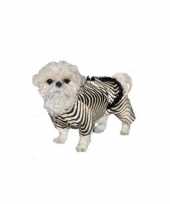 Honden verkleedkleding zebra jasje