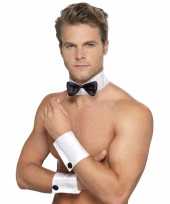 Verkleedkleding chippeldales set heren mike